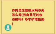 养肉灵芝要换水吗冬天怎么养(养肉灵芝的水该换吗？冬季护理指南)