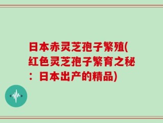 日本赤灵芝孢子繁殖(红色灵芝孢子繁育之秘：日本出产的精品)