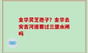 金华灵芝孢子？金华去安吉河道要过三堡水闸吗