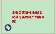 宝安灵芝新村法拍(宝安灵芝新村房产拍卖来袭)
