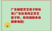 广东破壁灵芝孢子粉批发(广东批发纯正灵芝孢子粉，助你破解身体健康难题)