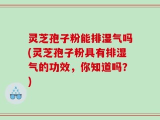 灵芝孢子粉能排湿气吗(灵芝孢子粉具有排湿气的功效，你知道吗？)