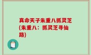 真命天子朱重八抓灵芝(朱重八：抓灵芝寻仙路)