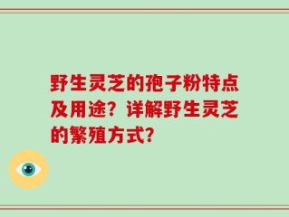野生灵芝的孢子粉特点及用途？详解野生灵芝的繁殖方式？