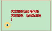 灵芝银杏功能与作用(灵芝银杏：功效及用途)