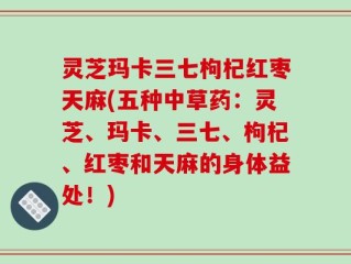 灵芝玛卡三七枸杞红枣天麻(五种中草药：灵芝、玛卡、三七、枸杞、红枣和天麻的身体益处！)