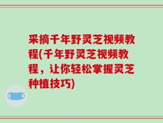 采摘千年野灵芝视频教程(千年野灵芝视频教程，让你轻松掌握灵芝种植技巧)