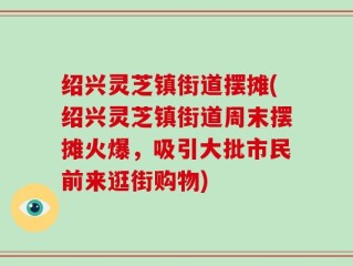 绍兴灵芝镇街道摆摊(绍兴灵芝镇街道周末摆摊火爆，吸引大批市民前来逛街购物)