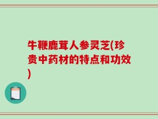 牛鞭鹿茸人参灵芝(珍贵中药材的特点和功效)