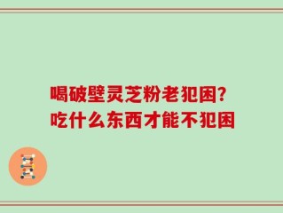 喝破壁灵芝粉老犯困？吃什么东西才能不犯困