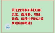 灵芝西洋参石斛天麻(灵芝、西洋参、石斛、天麻：四种中药的功效及适应症概述)