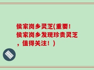 侯家岗乡灵芝(重要！侯家岗乡发现珍贵灵芝，值得关注！)