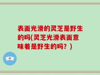 表面光滑的灵芝是野生的吗(灵芝光滑表面意味着是野生的吗？)