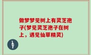 做梦梦见树上有灵芝孢子(梦见灵芝孢子在树上，遇见仙草精灵)