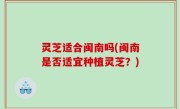 灵芝适合闽南吗(闽南是否适宜种植灵芝？)