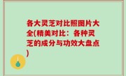 各大灵芝对比照图片大全(精美对比：各种灵芝的成分与功效大盘点)