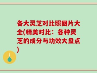 各大灵芝对比照图片大全(精美对比：各种灵芝的成分与功效大盘点)