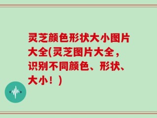 灵芝颜色形状大小图片大全(灵芝图片大全，识别不同颜色、形状、大小！)