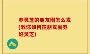 养灵芝的朋友圈怎么发(教你如何在朋友圈养好灵芝)