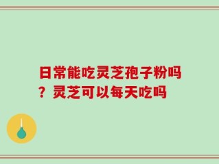 日常能吃灵芝孢子粉吗？灵芝可以每天吃吗