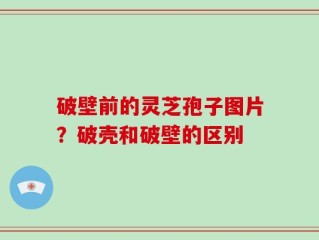破壁前的灵芝孢子图片？破壳和破壁的区别