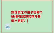 野性灵芝与孢子粉哪个好(野生灵芝和孢子粉哪个更好？)