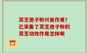 灵芝孢子粉兴奋作用？已采集了灵芝孢子粉的灵芝功效作用怎样呢