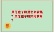 灵芝孢子粉是怎么收集？灵芝孢子粉如何食用？