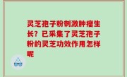 灵芝孢子粉刺激肿瘤生长？已采集了灵芝孢子粉的灵芝功效作用怎样呢