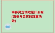 海参灵芝功效是什么呢(海参与灵芝的双重功效)