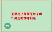 芝草孢子是灵芝包子吗？灵芝的性味归经