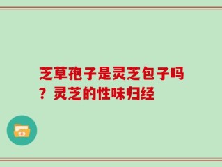 芝草孢子是灵芝包子吗？灵芝的性味归经