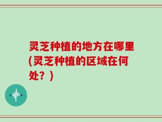灵芝种植的地方在哪里(灵芝种植的区域在何处？)