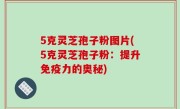 5克灵芝孢子粉图片(5克灵芝孢子粉：提升免疫力的奥秘)