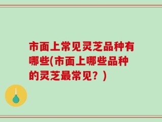 市面上常见灵芝品种有哪些(市面上哪些品种的灵芝最常见？)