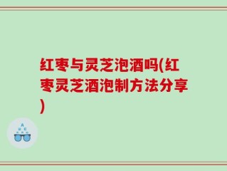 红枣与灵芝泡酒吗(红枣灵芝酒泡制方法分享)