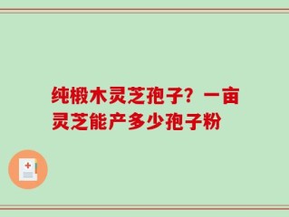 纯椴木灵芝孢子？一亩灵芝能产多少孢子粉