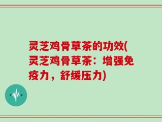 灵芝鸡骨草茶的功效(灵芝鸡骨草茶：增强免疫力，舒缓压力)