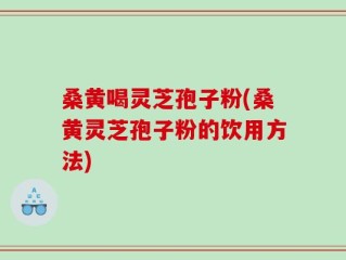桑黄喝灵芝孢子粉(桑黄灵芝孢子粉的饮用方法)