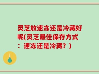 灵芝放速冻还是冷藏好呢(灵芝最佳保存方式：速冻还是冷藏？)