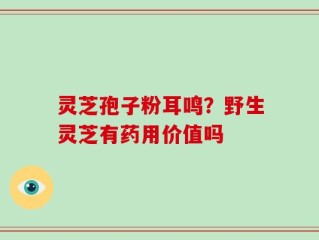 灵芝孢子粉耳鸣？野生灵芝有药用价值吗