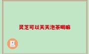 灵芝可以天天泡茶喝嘛