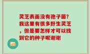 灵芝表面没有孢子菌？我这里有很多野生灵芝，但是要怎样才可以找到它的种子呢谢谢