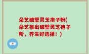 朵艺破壁灵芝孢子粉(朵艺推出破壁灵芝孢子粉，养生好选择！)