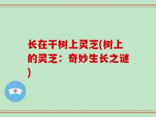 长在干树上灵芝(树上的灵芝：奇妙生长之谜)