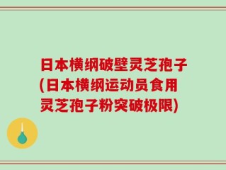 日本横纲破壁灵芝孢子(日本横纲运动员食用灵芝孢子粉突破极限)
