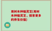 用树木种植灵芝(用树木种植灵芝，探索更多的养生价值)