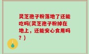 灵芝孢子粉落地了还能吃吗(灵芝孢子粉掉在地上，还能安心食用吗？)