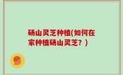 砀山灵芝种植(如何在家种植砀山灵芝？)