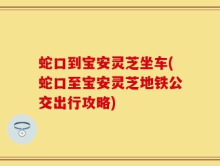 蛇口到宝安灵芝坐车(蛇口至宝安灵芝地铁公交出行攻略)